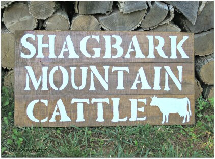 Rustic-Mountain-Sign-DIY