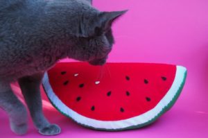 Watermelon-Softie-Pattern